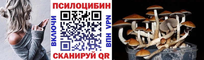 kraken онион  Одинцово  Псилоцибиновые грибы Psilocybine cubensis 